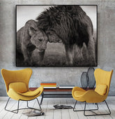 TPFLiving Poster Leinwand / Verliebtes Löwenpaar / Motiv in verschiedenen Größen - OHNE Rahmen - Modell FB086